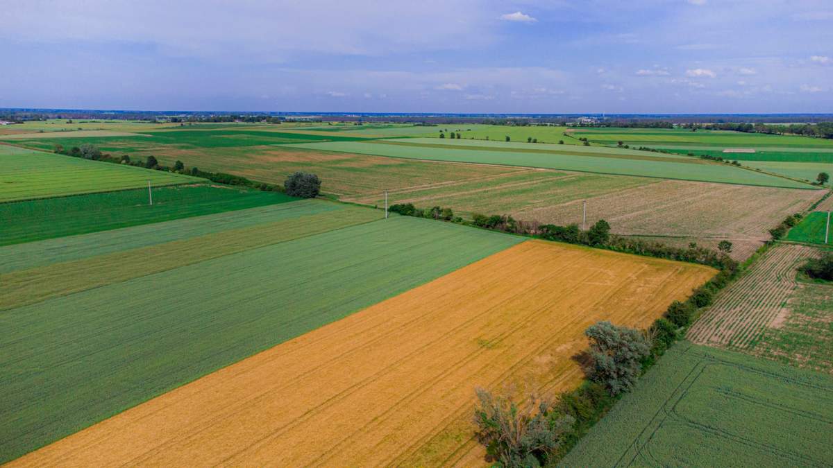 Integrowana Produkcja Roślin: Co się zmieni w tym roku?