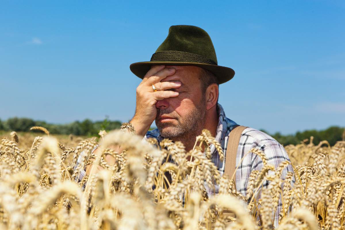 Jak upłynnić handel ziarnem? Regularne zaplanowanie sprzedaży określonymi partiami czy sekwencjami - sugeruje jeden z uczestników debaty podczas Polish Grain Day
