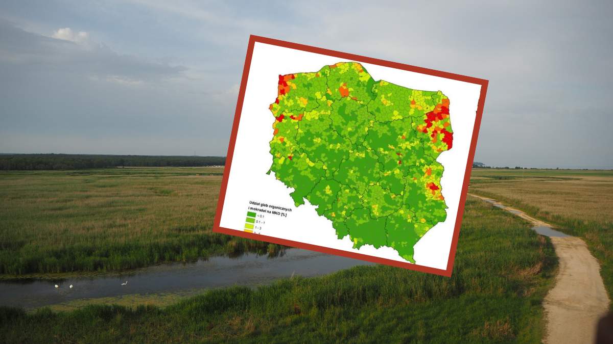 Naukowcy z IUNG-PIB, w latach 2021-2023 przeprowadzili inwentaryzację terenów, analizy gleb i zdjęć satelitarnych, po których wyznaczono działki ewidencyjne, objęte ochroną w ramach normy GAEC 2. Trafiła ona następnie do ARiMR. Od tego roku wspomniana norma będzie obowiązywać polskich rolników.